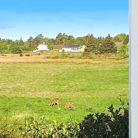 5 Person In Romo Holiday home
